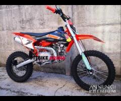 NUOVE Pit Bike 125 / 140 REPLICA REDBULL 17/14 - 4