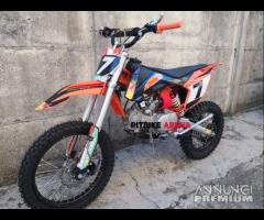 NUOVE Pit Bike 125 / 140 REPLICA REDBULL 17/14 - 6