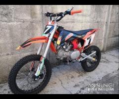 New PITBIKE SXF 125 REPLICA K 17/14 o 14/12 CROSS