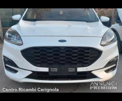 ricambi ford kuga 2022