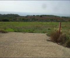 Terreno Agricolo Uliveto Noto