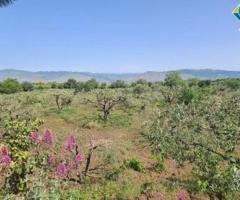 Terreno agricolo 3.200mq zona doc a castiglione