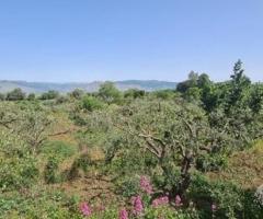 Terreno agricolo 3.200mq zona doc a castiglione