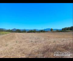 Villamassargia - terreno agricolo facile accesso