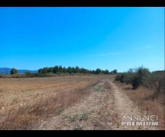 Villamassargia - terreno agricolo facile accesso