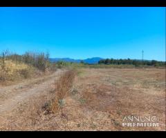 Villamassargia - terreno agricolo pianeggiante