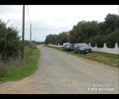 Sant'anna arresi - agricolo terreno in zona reside