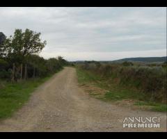 Sant'anna arresi - agricolo terreno in zona reside