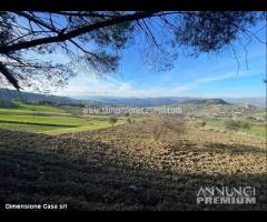 Rif.TA68|Terreno agricolo San Cataldo