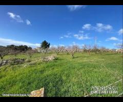 Rif.TA45|Terreno agricolo San Cataldo - 7