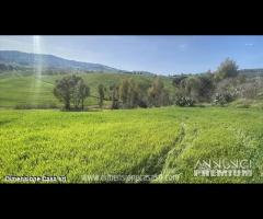 Rif.TA61|Terreno agricolo Caltanissetta