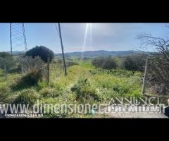 Rif.TA61|Terreno agricolo Caltanissetta