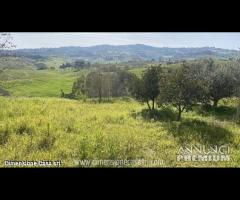 Rif.TA61|Terreno agricolo Caltanissetta