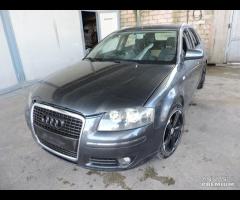 RICAMBI AUDI A3 8P RF78