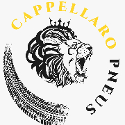 CAPPELLARO PNEUS